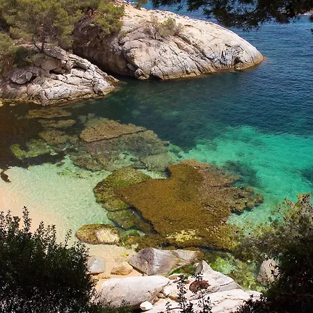 Cala Del Pi - Adults Only Castell-Platja d'Aro