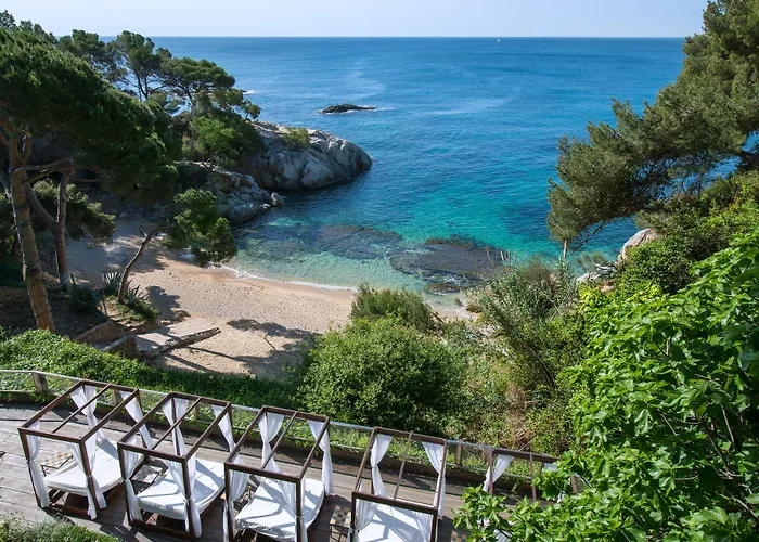 Hotel Cala Del Pi - Adults Only